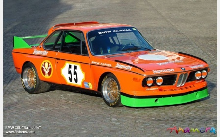 BMW 30 race