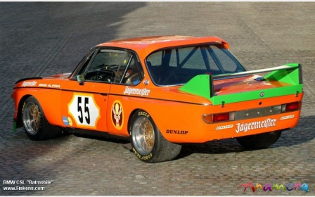 BMW 30 race